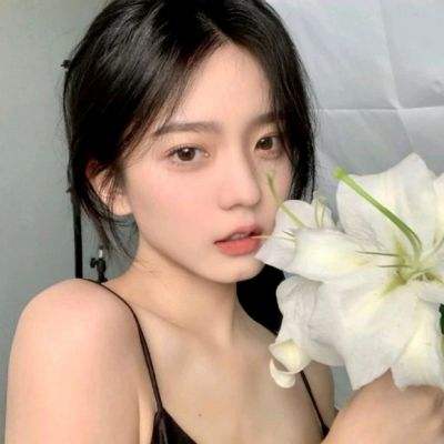 宠物家园计划游戏